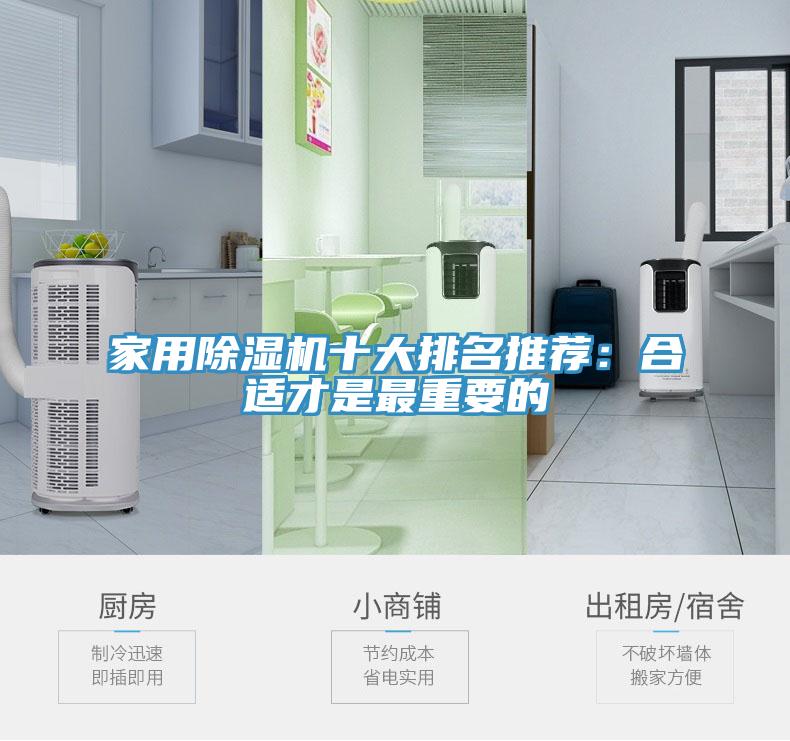 家用香蕉视频国产十大排名推薦：合適才是最重要的