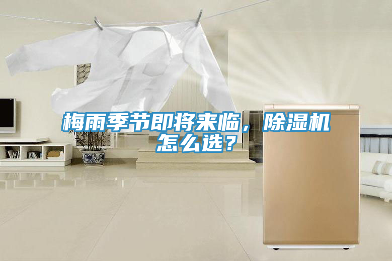 梅雨季節即將來臨，香蕉视频国产怎麽選？