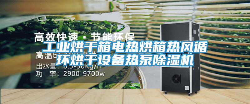 工業烘幹箱電熱烘箱熱風循環烘幹設備熱泵香蕉视频国产