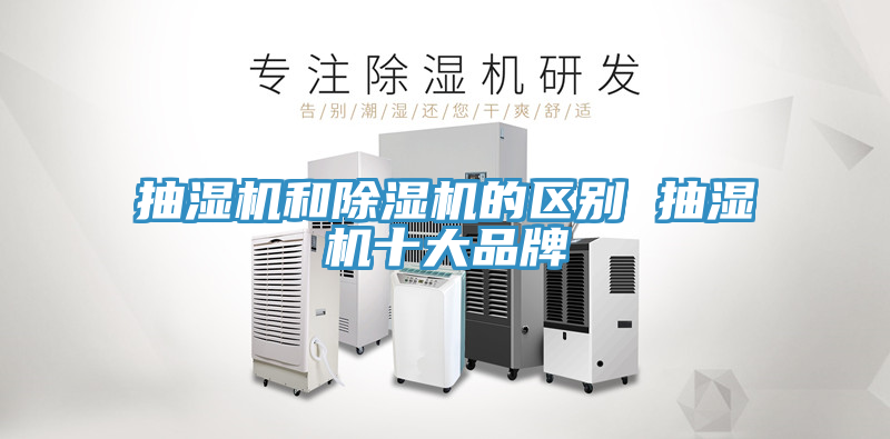 抽濕機和香蕉视频国产的區別 抽濕機十大品牌