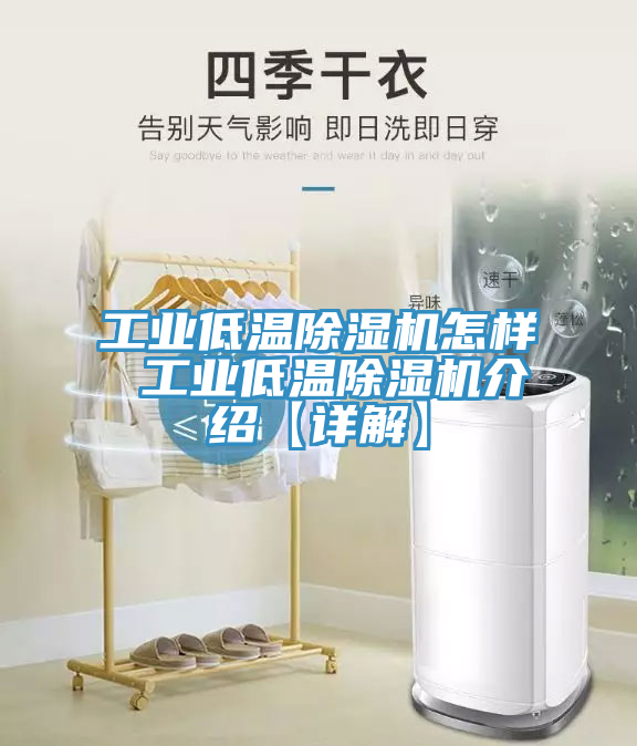 工業低溫香蕉视频国产怎樣 工業低溫香蕉视频国产介紹【詳解】