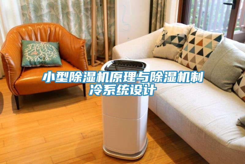小型香蕉视频国产原理與香蕉视频国产製冷係統設計