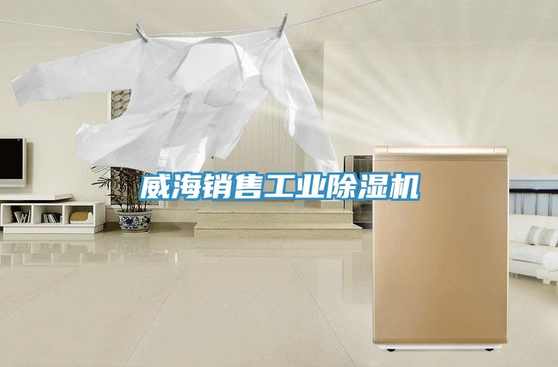 威海銷售工業香蕉视频国产