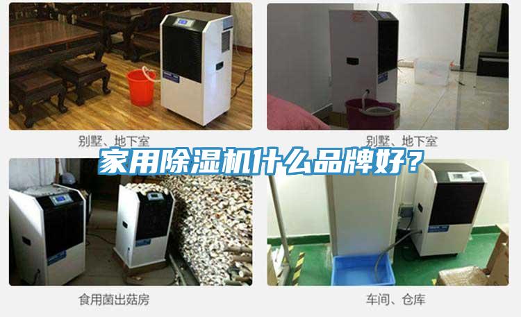 家用香蕉视频国产什麽品牌好？