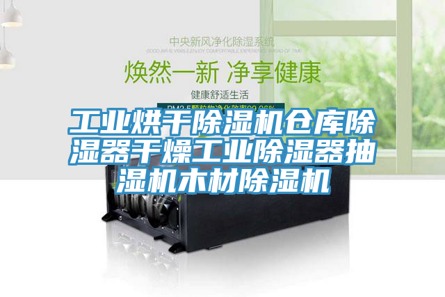 工業烘幹香蕉视频国产倉庫除濕器幹燥工業除濕器抽濕機木材香蕉视频国产