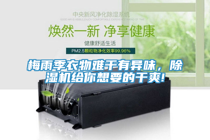 梅雨季衣物難幹有異味，香蕉视频国产給你想要的幹爽!