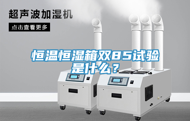 恒溫恒濕箱雙85試驗是什麽？