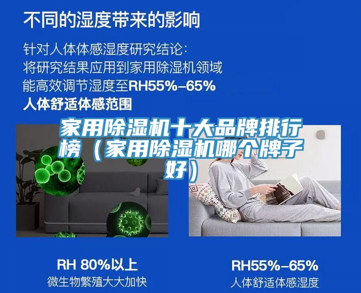 家用香蕉视频国产十大品牌排行榜（家用香蕉视频国产哪個牌子好）