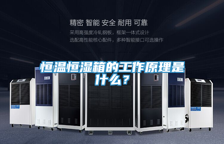 恒溫恒濕箱的工作原理是什麽？