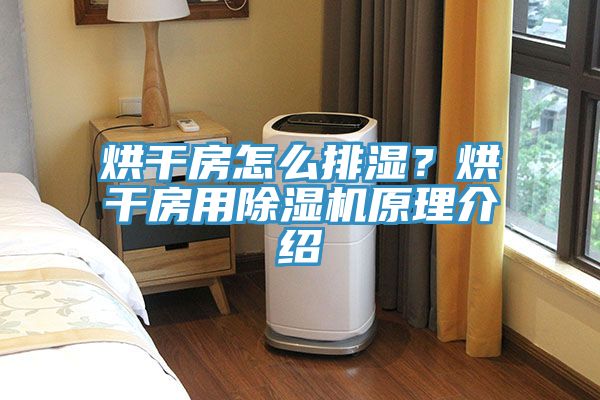 烘幹房怎麽排濕？烘幹房用香蕉视频国产原理介紹