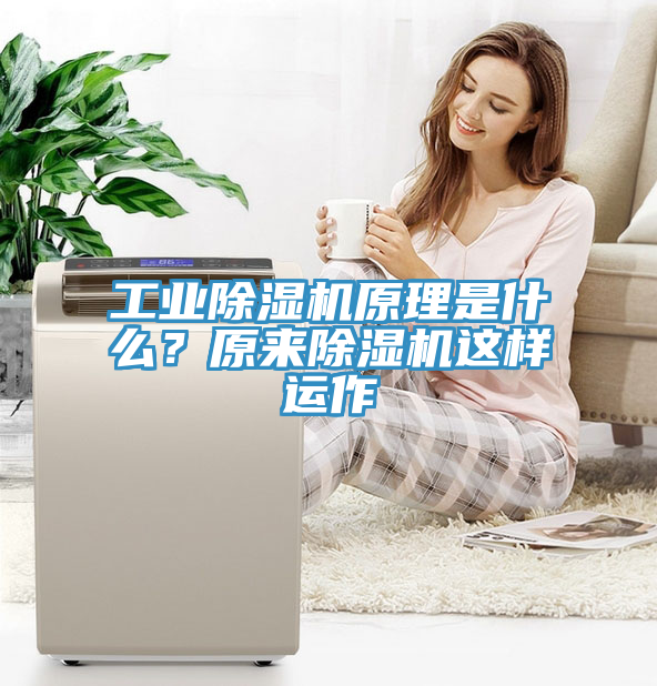 工業香蕉视频国产原理是什麽？原來香蕉视频国产這樣運作