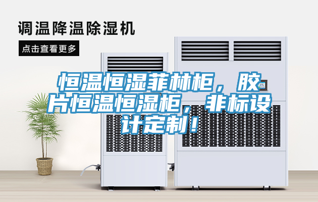 恒溫恒濕菲林櫃，膠片恒溫恒濕櫃，非標設計定製！
