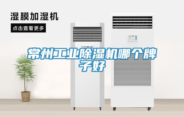 常州工業香蕉视频国产哪個牌子好