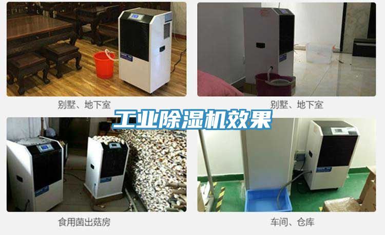 工業香蕉视频国产效果
