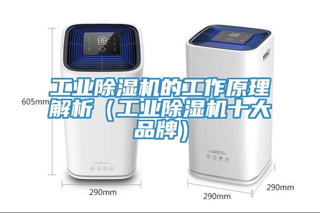 工業香蕉视频国产的工作原理解析（工業香蕉视频国产十大品牌）