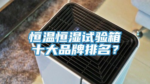 恒溫恒濕試驗箱十大品牌排名？