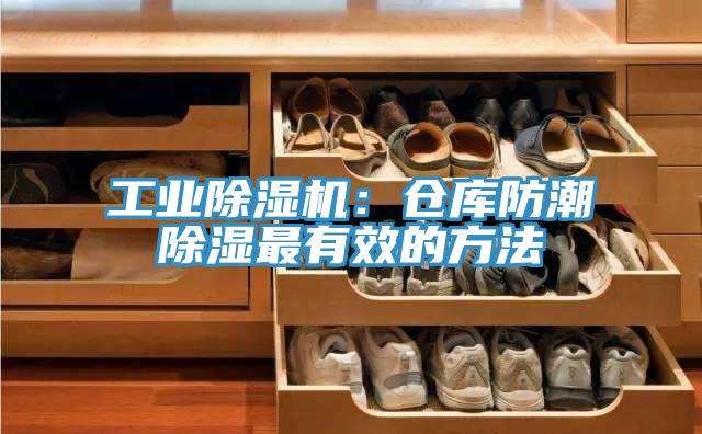 工業香蕉视频国产：倉庫防潮除濕最有效的方法