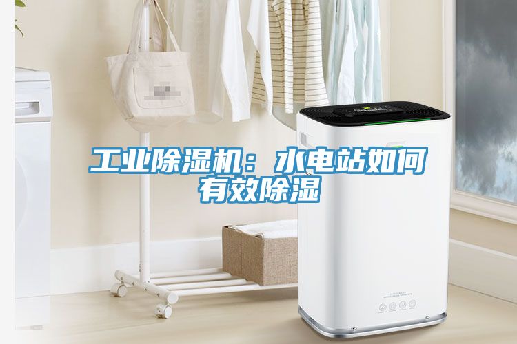 工業香蕉视频国产：水電站如何有效除濕