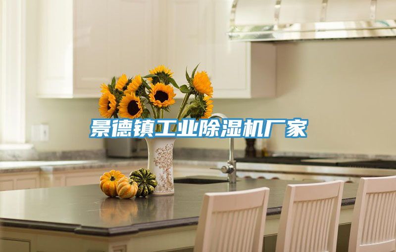 景德鎮工業香蕉视频国产廠家