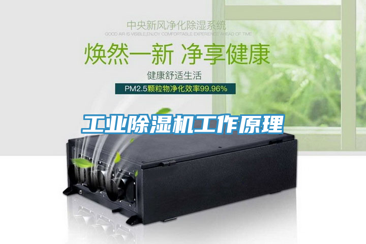 工業香蕉视频国产工作原理