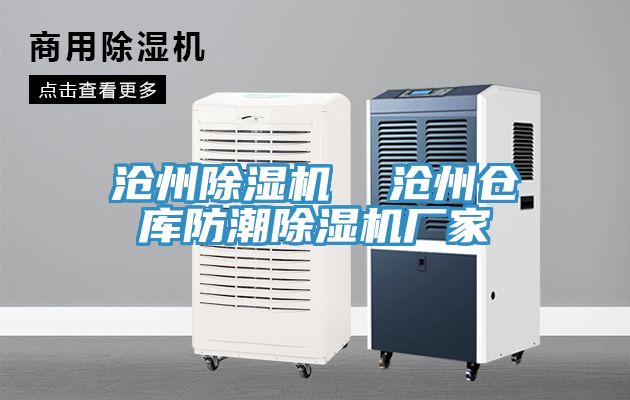 滄州香蕉视频国产  滄州倉庫防潮香蕉视频国产廠家