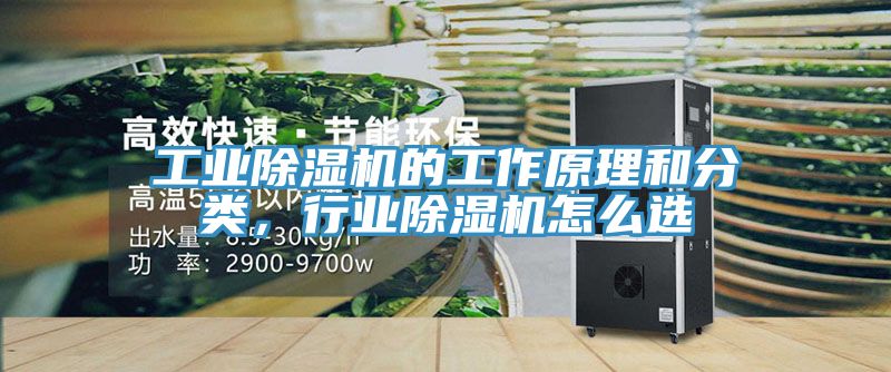 工業香蕉视频国产的工作原理和分類，行業香蕉视频国产怎麽選