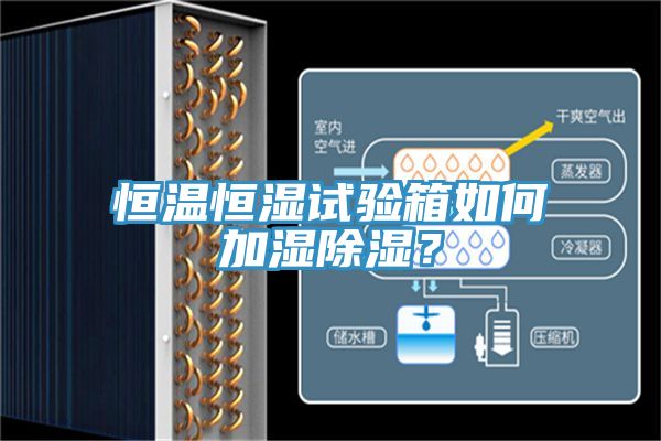 恒溫恒濕試驗箱如何加濕除濕？