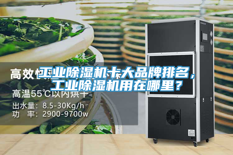 工業香蕉视频国产十大品牌排名，工業香蕉视频国产用在哪裏？