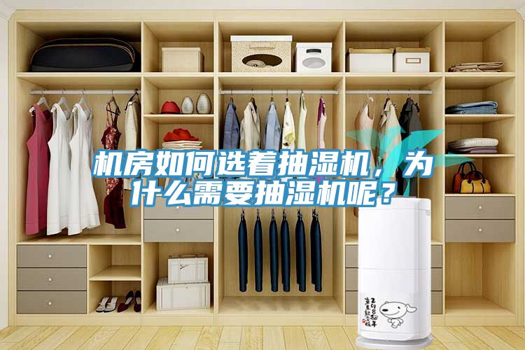 機房如何選著抽濕機，為什麽需要抽濕機呢？