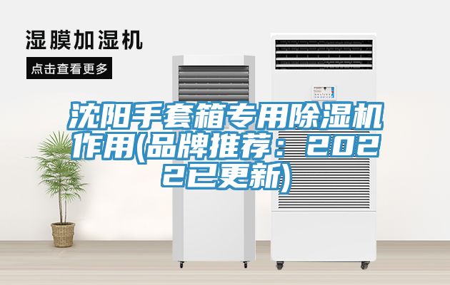 沈陽手套箱專用香蕉视频国产作用(品牌推薦：2022已更新)