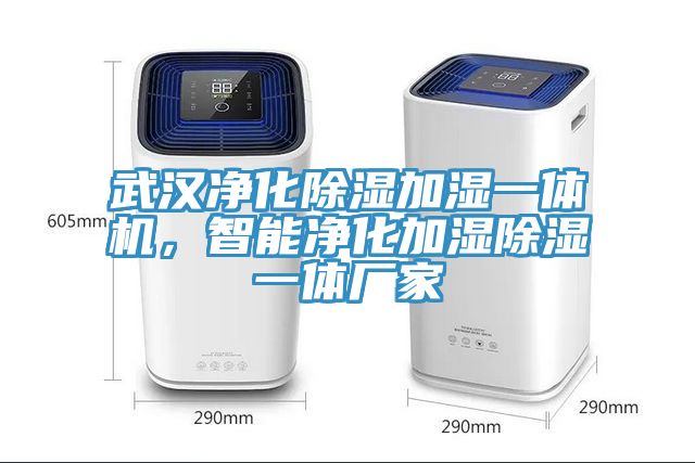 武漢淨化除濕加濕一體機，智能淨化加濕除濕一體廠家