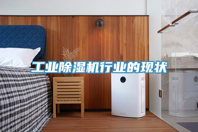 工業香蕉视频国产行業的現狀