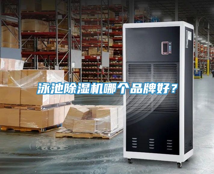 泳池香蕉视频国产哪個品牌好？