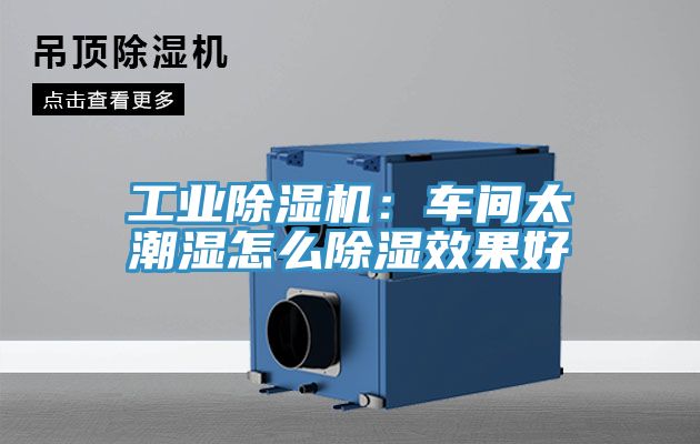工業香蕉视频国产：車間太潮濕怎麽除濕效果好