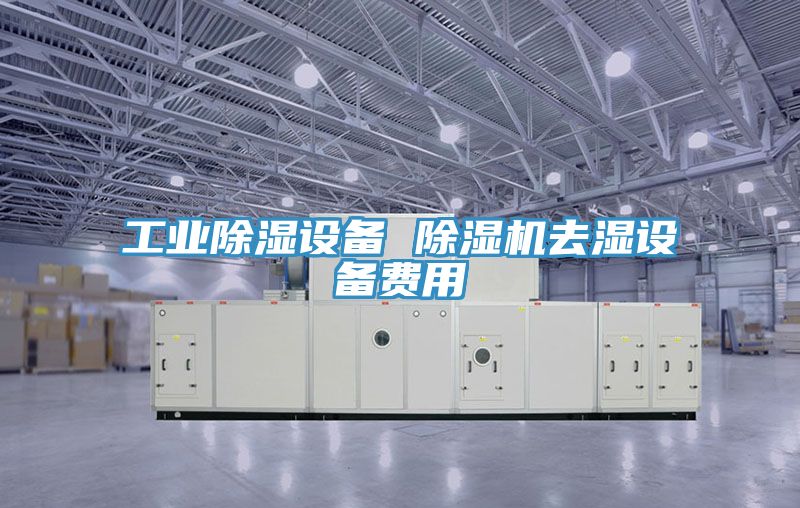 工業除濕設備 香蕉视频国产去濕設備費用