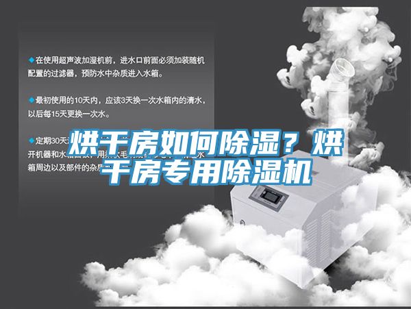 烘幹房如何除濕？烘幹房專用香蕉视频国产