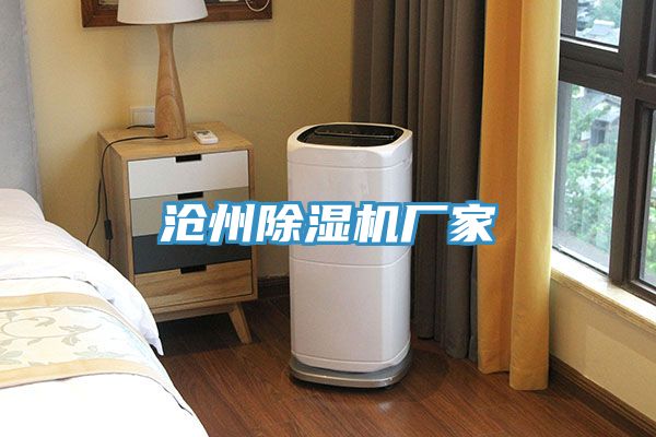 滄州香蕉视频国产廠家