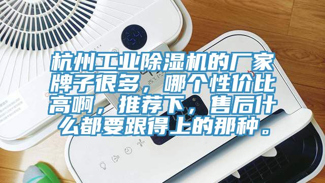 杭州工業香蕉视频国产的廠家牌子很多，哪個性價比高啊，推薦下，售後什麽都要跟得上的那種。