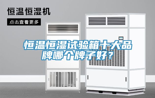 恒溫恒濕試驗箱十大品牌哪個牌子好？
