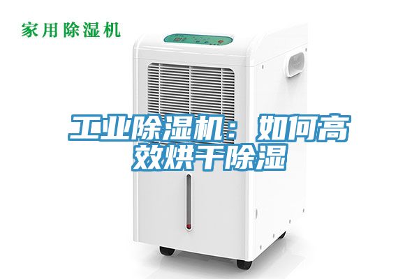 工業香蕉视频国产：如何高效烘幹除濕