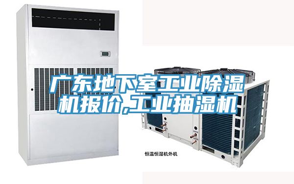 廣東地下室工業香蕉视频国产報價,工業抽濕機
