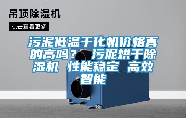 汙泥低溫幹化機價格真的高嗎？ 汙泥烘幹香蕉视频国产 性能穩定 高效智能