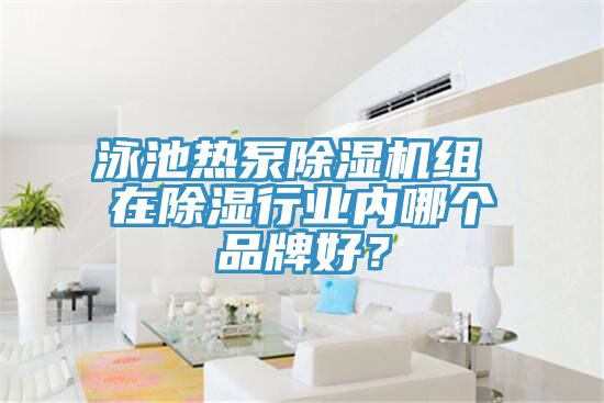 泳池熱泵香蕉视频国产組 在除濕行業內哪個品牌好？