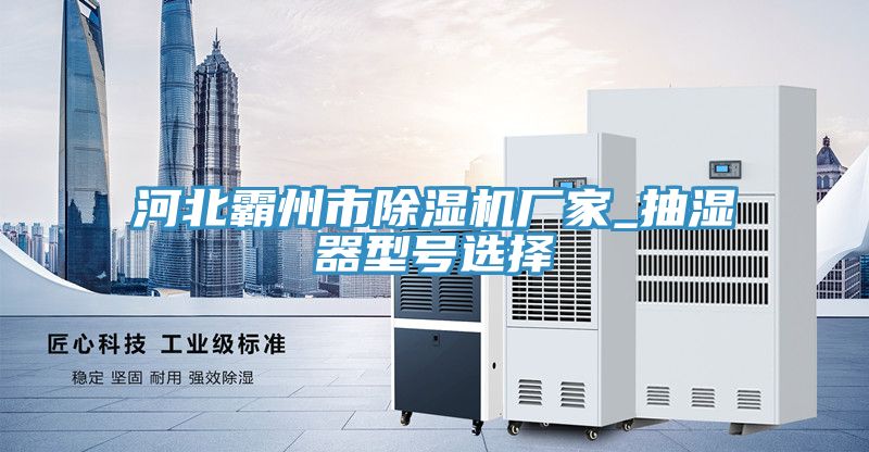 河北霸州市香蕉视频国产廠家_抽濕器型號選擇