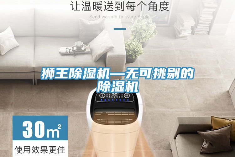 獅王香蕉视频国产—無可挑剔的香蕉视频国产
