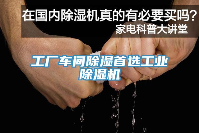 工廠車間除濕首選工業香蕉视频国产