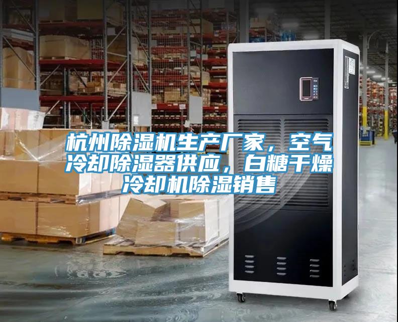 杭州香蕉视频国产生產廠家，空氣冷卻除濕器供應，白糖幹燥冷卻機除濕銷售