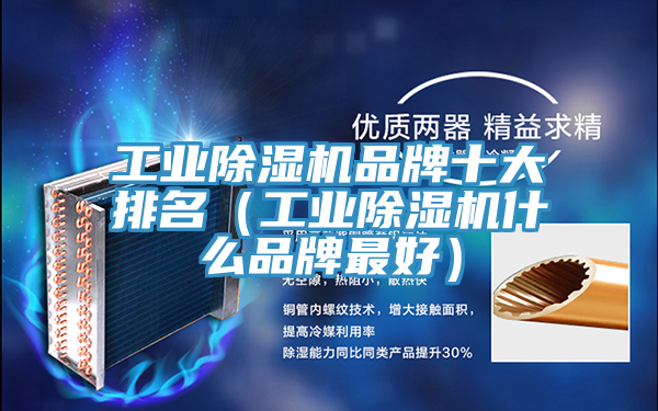 工業香蕉视频国产品牌十大排名（工業香蕉视频国产什麽品牌最好）