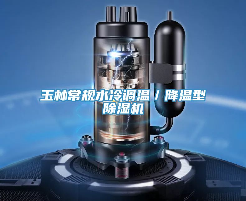 玉林常規水冷調溫／降溫型香蕉视频国产