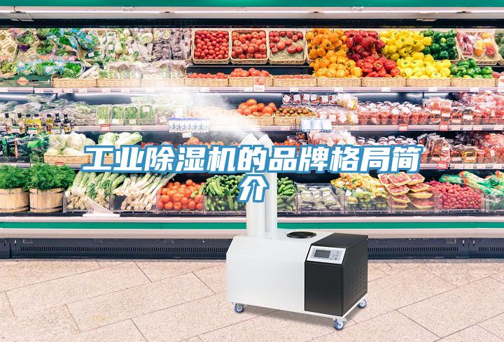 工業香蕉视频国产的品牌格局簡介
